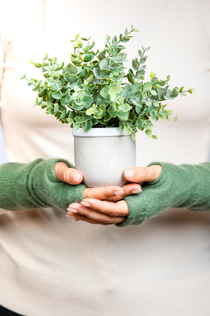 Dark Green - Cashmere Fingerless Gloves